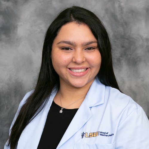 Natalia Cid, DVM